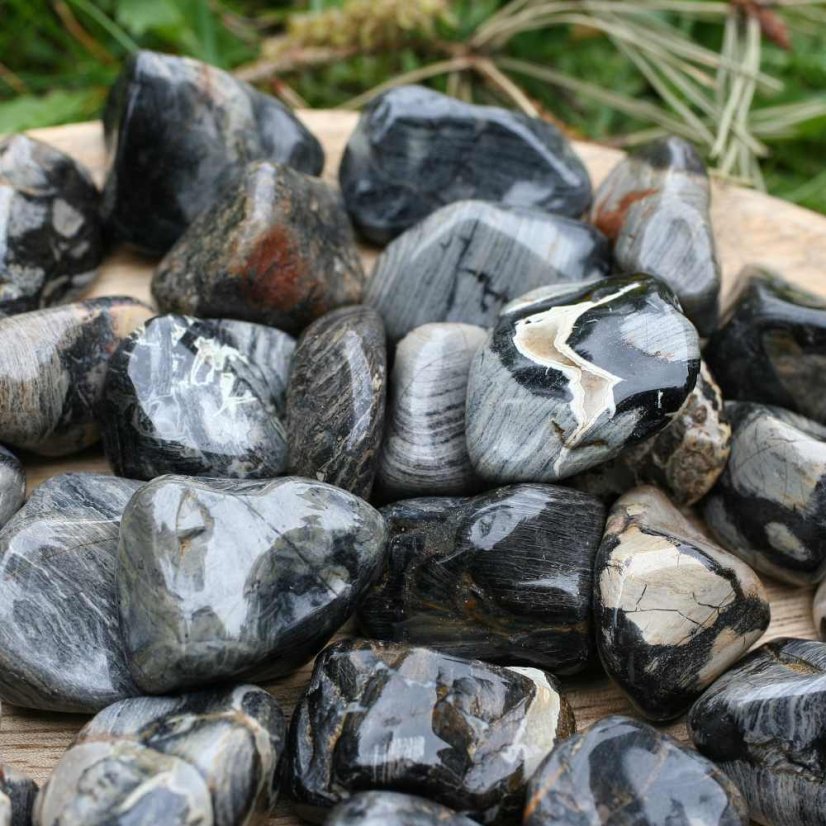 Jaspis Silver Leaf - tromlovaný mix M
