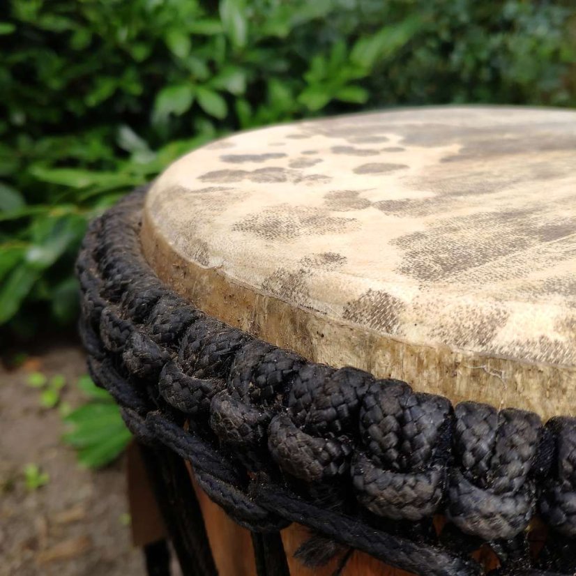 Buben Djembe 11” Utombe, Ghana vyřezávaný 55 cm