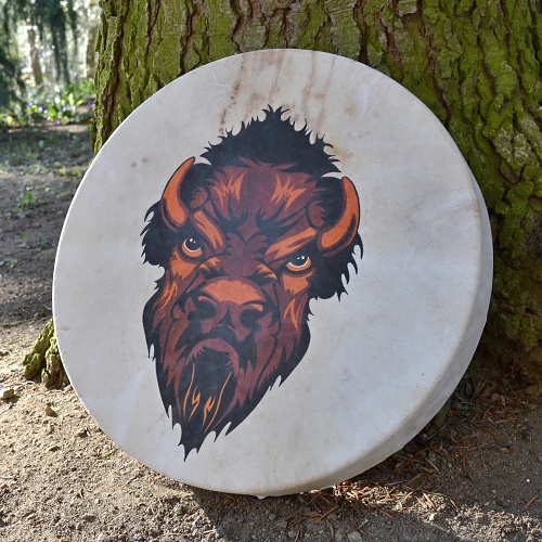 Šamanský buben malovaný 40 cm - Bizon