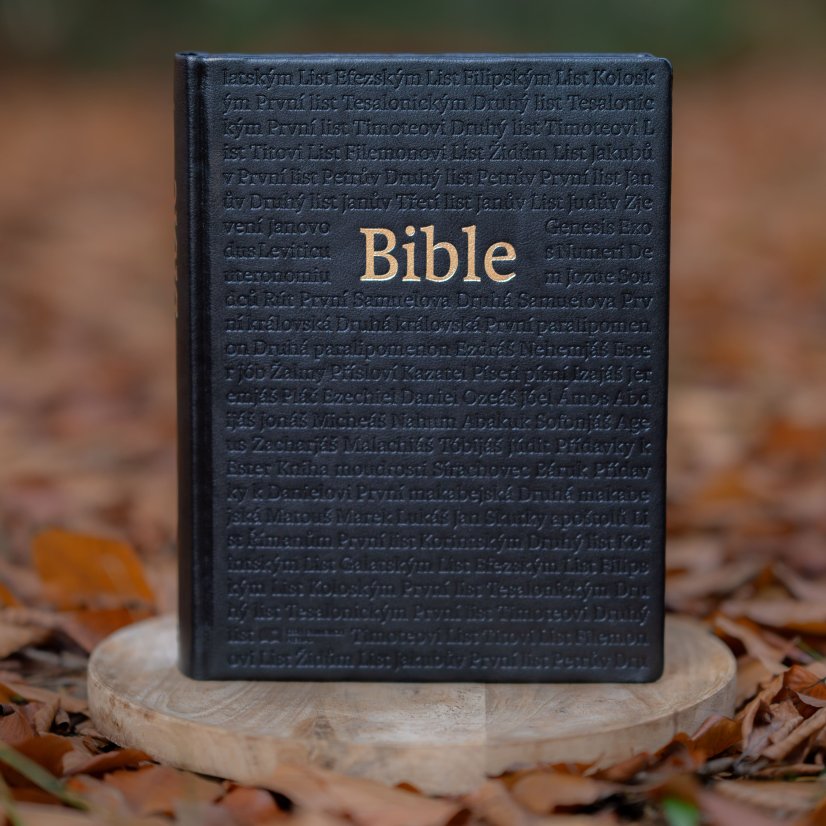 Bible Jubilejní, rodinná, luxusní edice