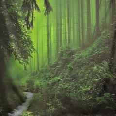 Šátek - přehoz V hlubinách lesa