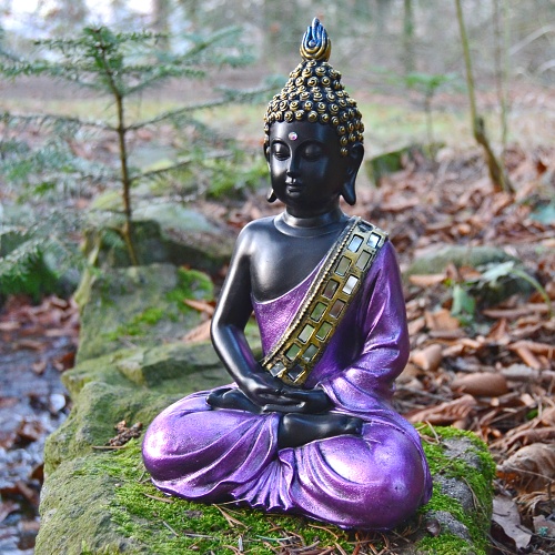 Buddha ve fialovém rouchu