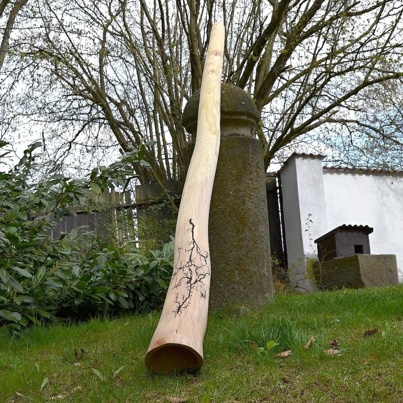 Didgeridoo Elephant 191 cm - jilm, ladění H - C