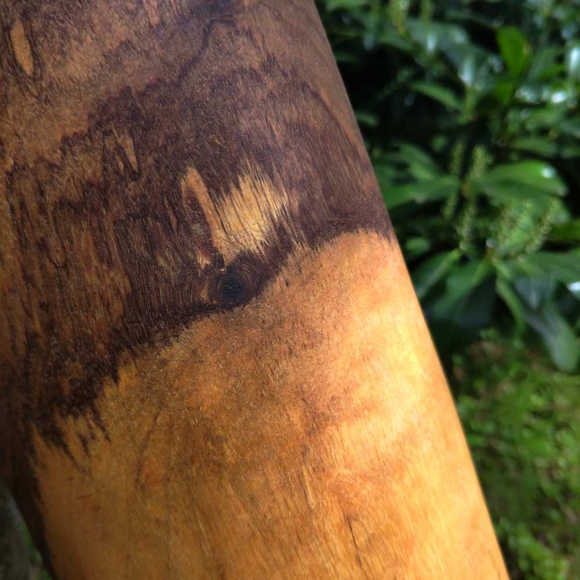 Krin, log drum Kirikou Mali, 63 cm