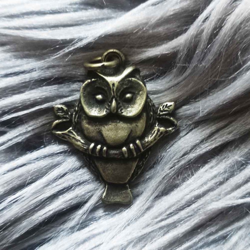 Amulet - Moudrá sova, staromosaz