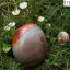 Jaspis Polychrom - hmatka