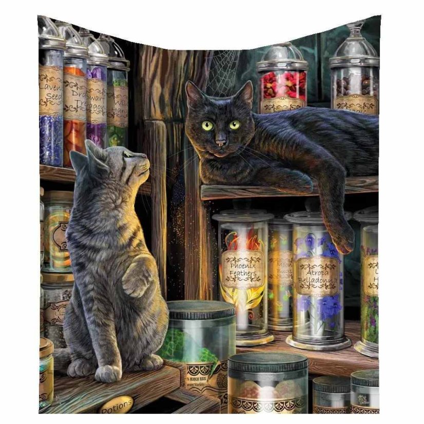 Pokrývka - deka fantasy - Kočičí magické emporium, 160 cm