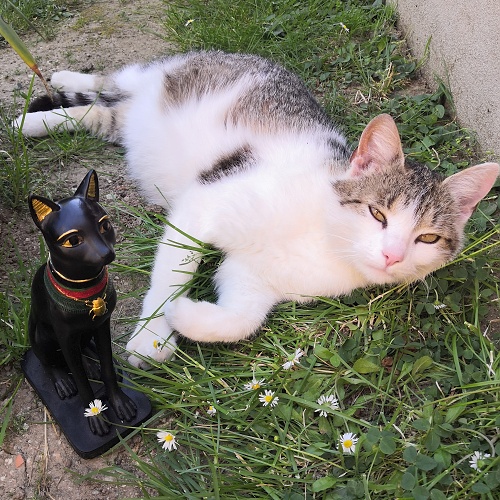 Soška Egypt - černá Bastet 02