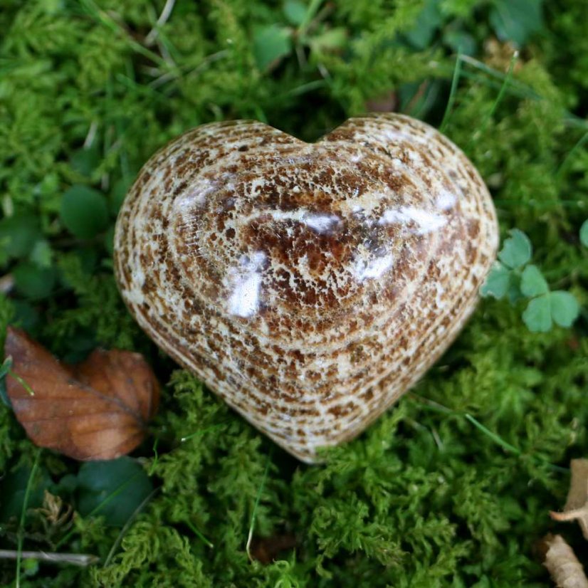 Aragonitové srdce 5-6 cm