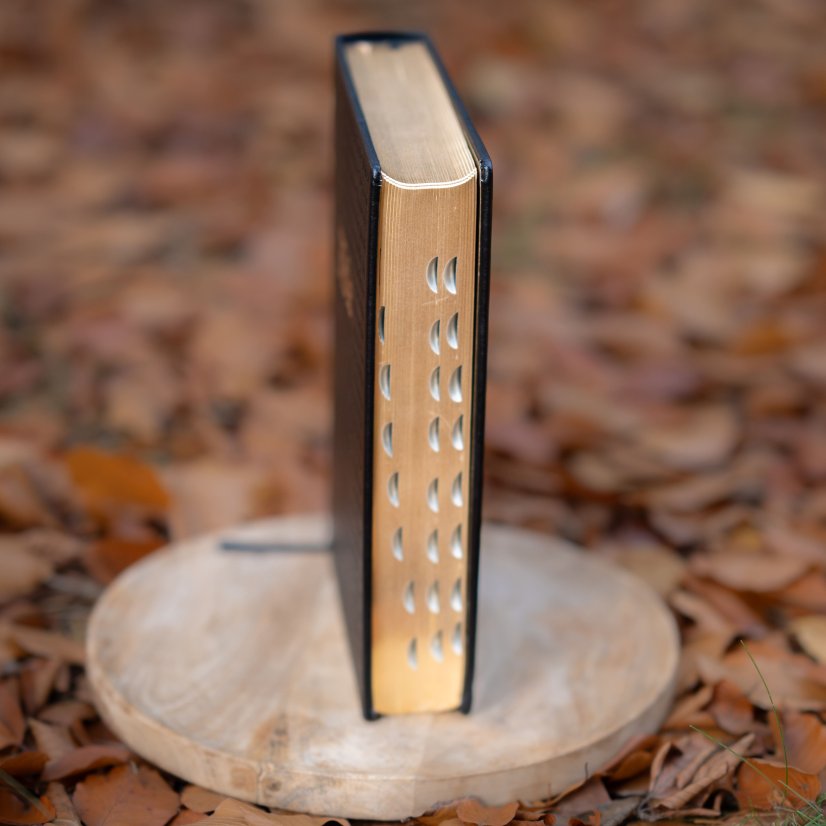 Bible Jubilejní, rodinná, luxusní edice