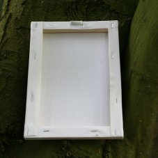 Naše Paní z Archy úmluvy, obraz na plátně