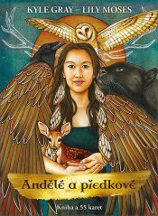 Vykládací karty - Andělé a předkové