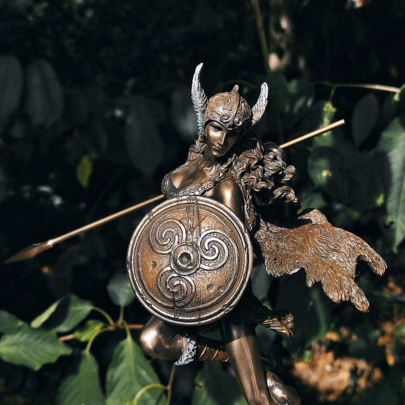 Socha fantasy exclusive - Valkýra