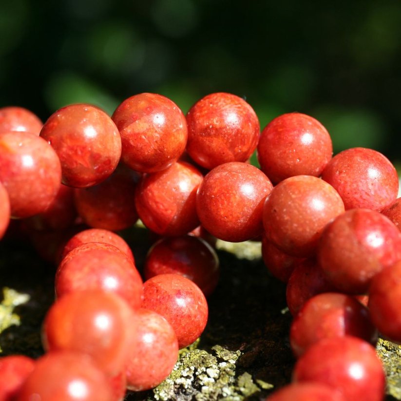 Náramek Korál houbový, kuličky 8 mm