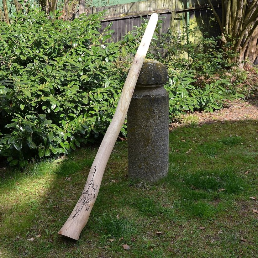 Didgeridoo Elephant 191 cm - jilm, ladění H - C