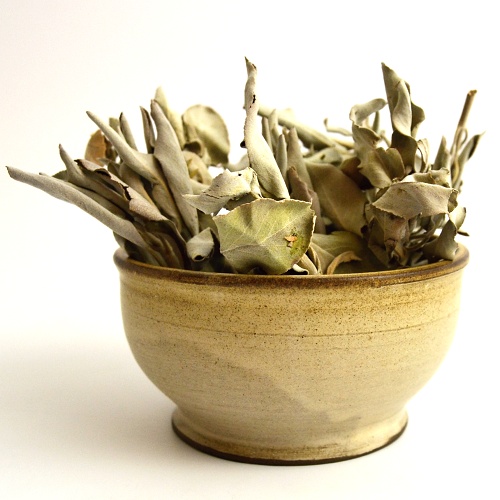 Bílá šalvěj - Salvia Apiana listy 20 g