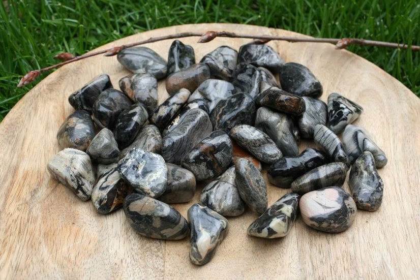 Jaspis Silver Leaf - tromlovaný mix L