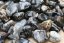Jaspis Silver Leaf - tromlovaný mix M