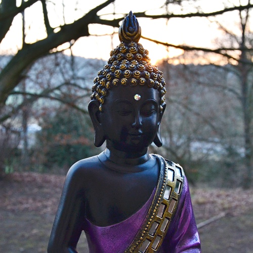 Buddha ve fialovém rouchu