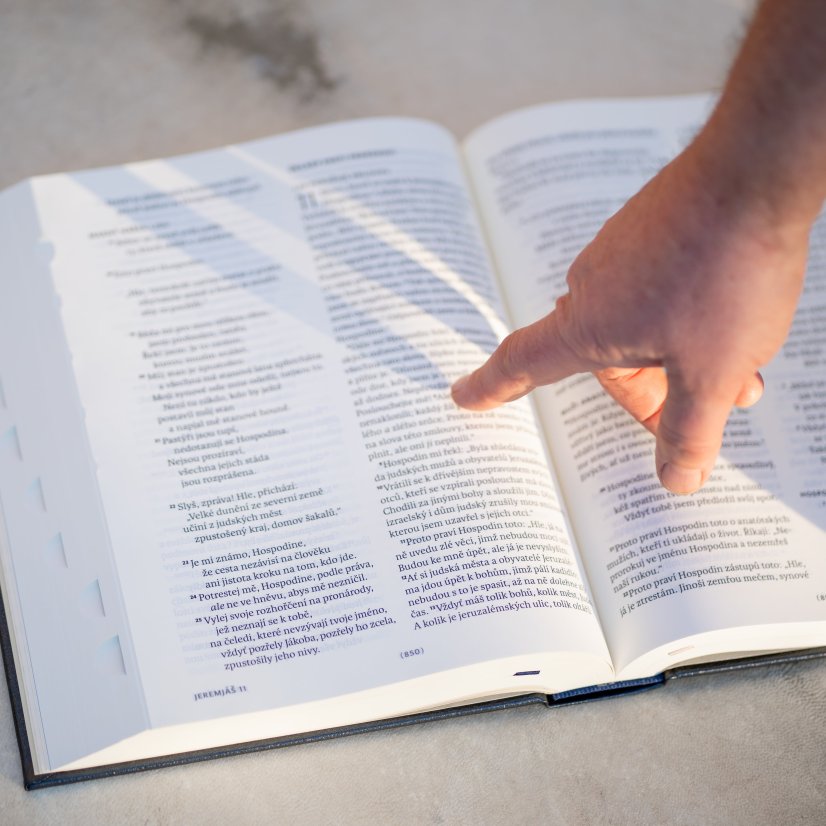 Bible ČEP DT, rodinná velká