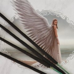 Vonné tyčinky fantasy - Strážný anděl