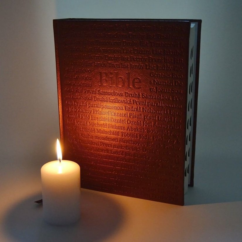 Bible ČEP DT rodinná velká, vínová