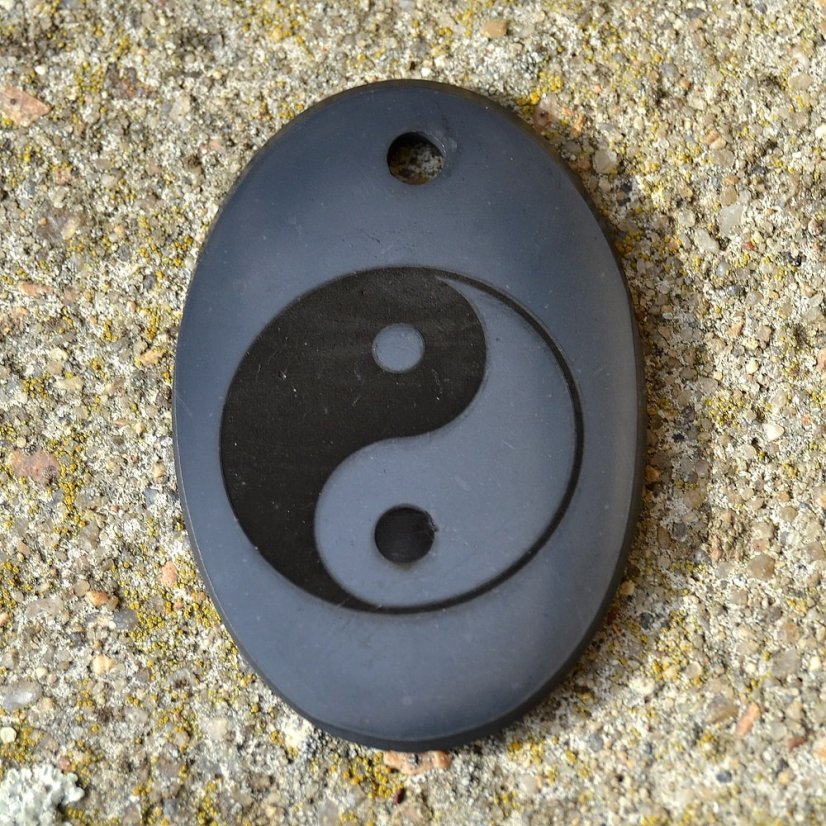 Přívěsek šungit se symbolem Jin Jang
