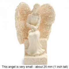 Maličký Anděl pro odvahu