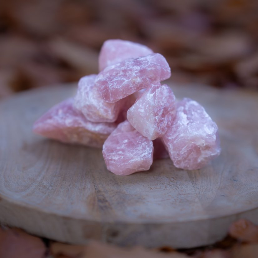 Růženín pro tvůj magický oltář