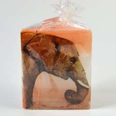 Svíčka animals exclusive - slon
