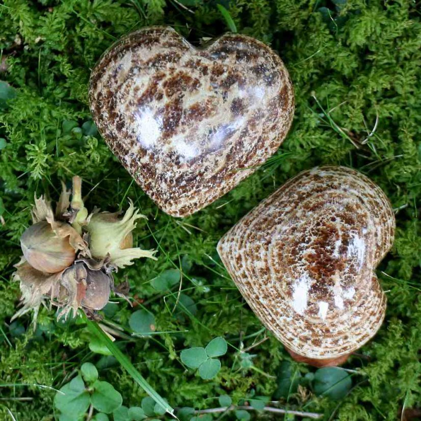 Aragonitové srdce 5-6 cm