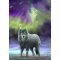 Obraz fantasy - Aura wolf, Anne Stokes