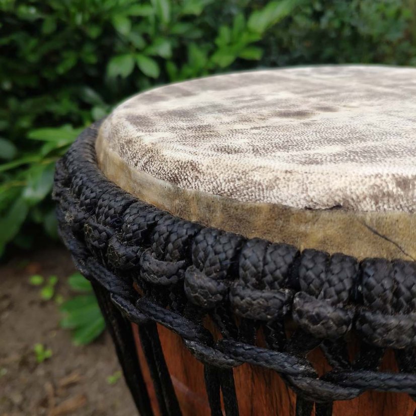 Buben Djembe 11” Kifaru, Ghana vyřezávaný 56 cm