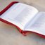 Bible ČEP bez DT, vínová, velký formát v obalu se zipem