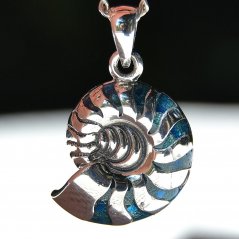 Přívěsek Nautilus, mušle Paua - stříbro Ag 925/1000