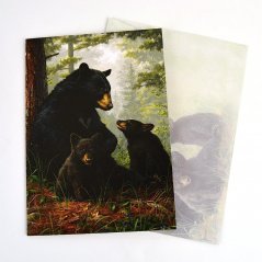 Přání - Černí medvědi