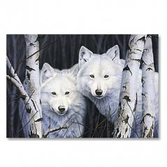 Magnetka - Bílí vlci