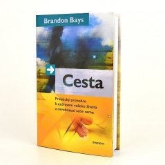 Cesta - Brandon Bays