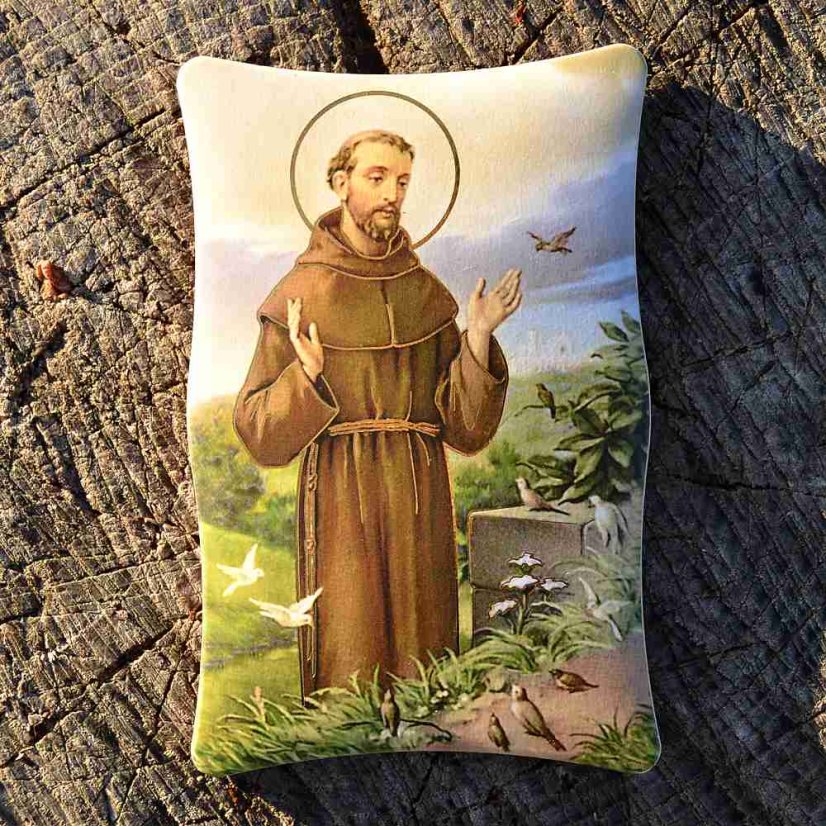 Obrázek Svatý František 11 cm