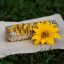 AKCE 1+1 zdarma | Bílá šalvěj & žluté květy – vykuřovací svazek🌻