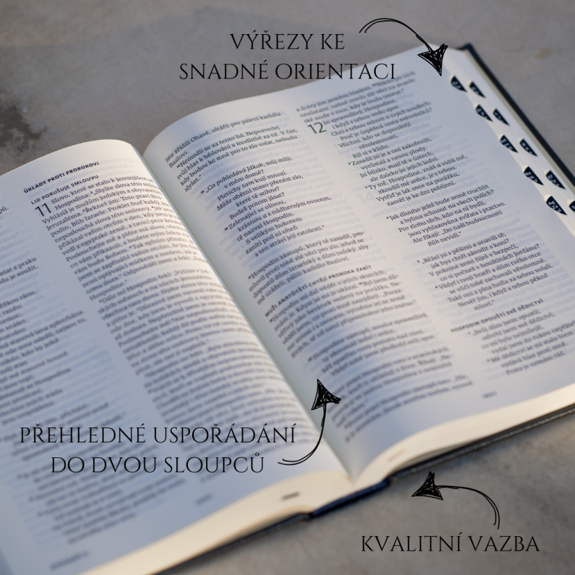 Bible ČEP DT, rodinná velká