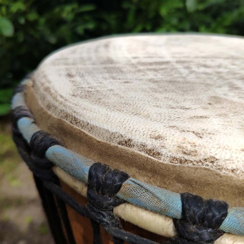 Buben Djembe 11” Bahari, Ghana vyřezávaný 57 cm