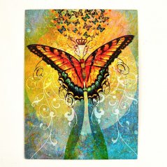 Přání - Motýl