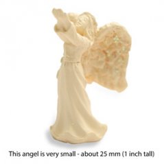 Maličký Anděl požehnání