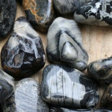 Jaspis Silver Leaf - tromlovaný mix L