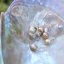 Perlorodka říční velká s perlami 16 cm
