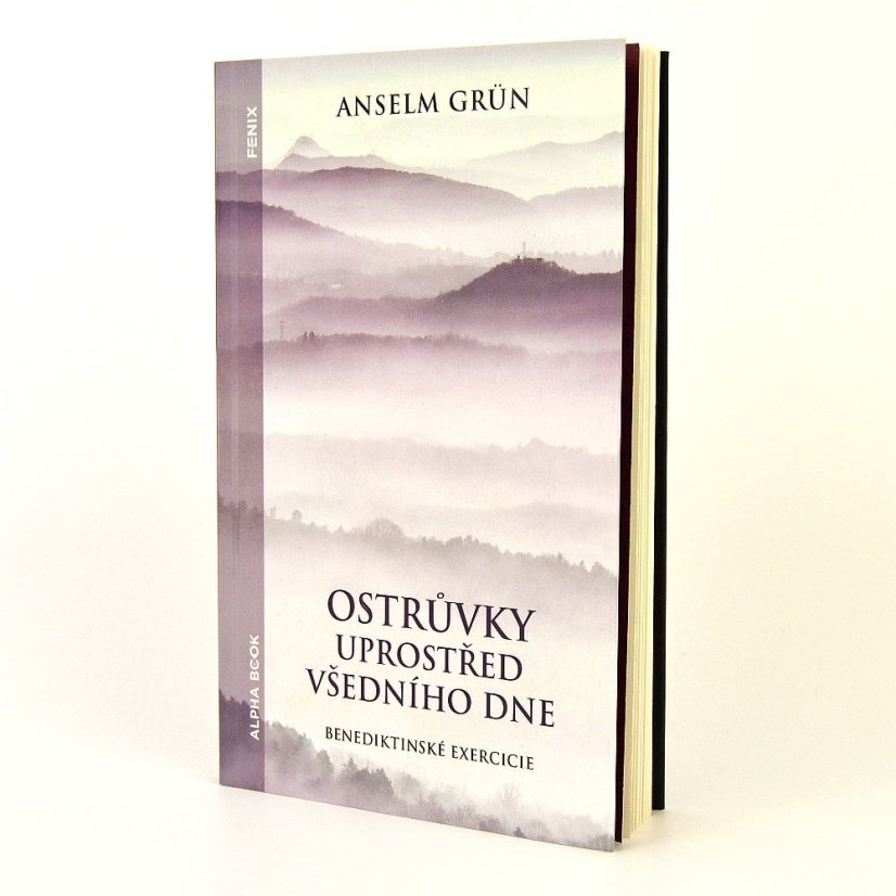 Ostrůvky uprostřed všedního dne - Anselm Grün