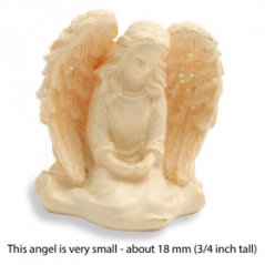 Maličký Anděl čistoty