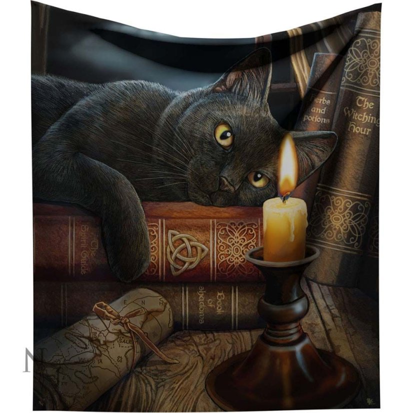Pokrývka - deka fantasy - Černý kocour: Pán tajemství 160 cm