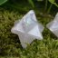 Broušená merkaba – Růženín 13-16 mm